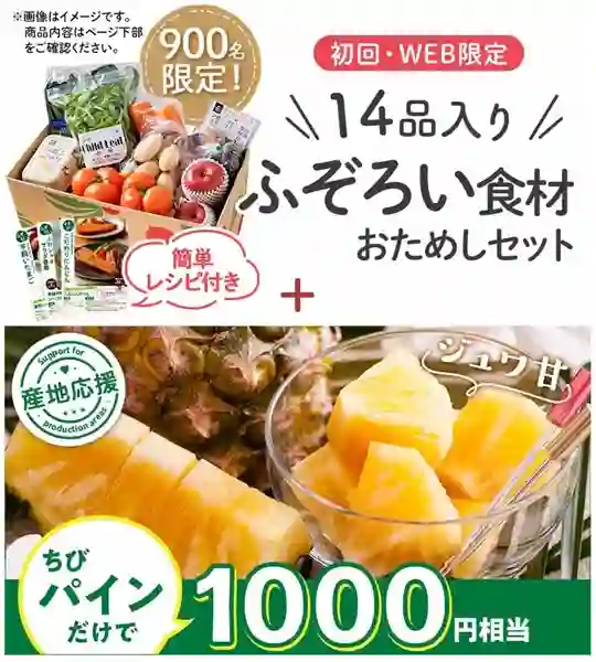 お試しセット